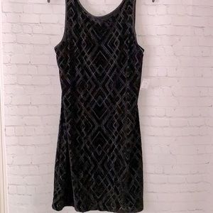 NWT WHBM sleeveless velvet party dress